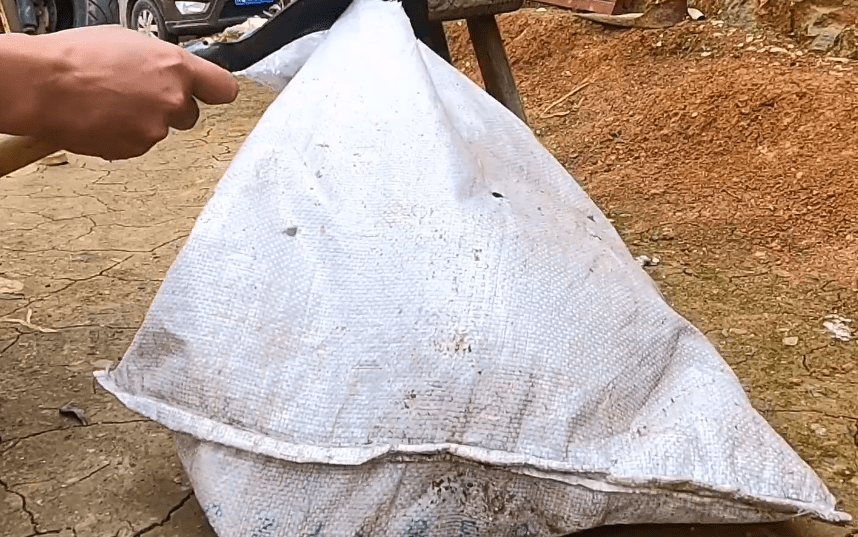 虎斑犬多少錢一只_虎斑狗圖片多少錢一只_什么叫虎斑狗