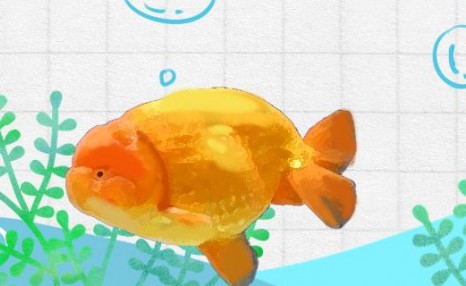 蘭壽金魚用加熱棒嗎？（蘭壽金魚溫度加熱好還是不好）