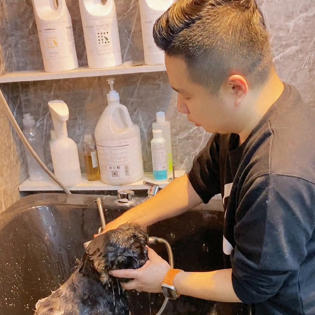 狗狗洗澡正確方法視頻_狗狗洗澡正確方法圖片_狗狗洗澡的正確方法