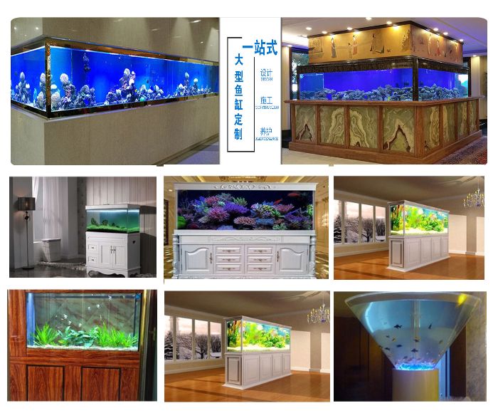 觀賞魚缸養魚好嗎_魚缸最好養的觀賞魚_觀賞魚缸養魚好不好