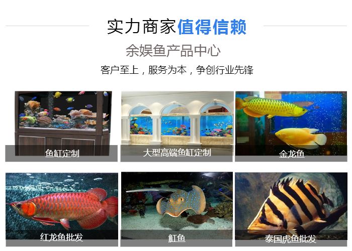 觀賞魚缸養魚好不好_魚缸最好養的觀賞魚_觀賞魚缸養魚好嗎