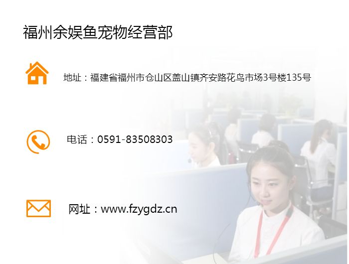 觀賞魚缸養魚好不好_魚缸最好養的觀賞魚_觀賞魚缸養魚好嗎