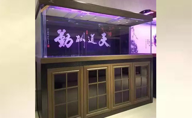 觀賞魚缸養魚好不好_觀賞魚缸養魚好嗎_魚缸最好養的觀賞魚