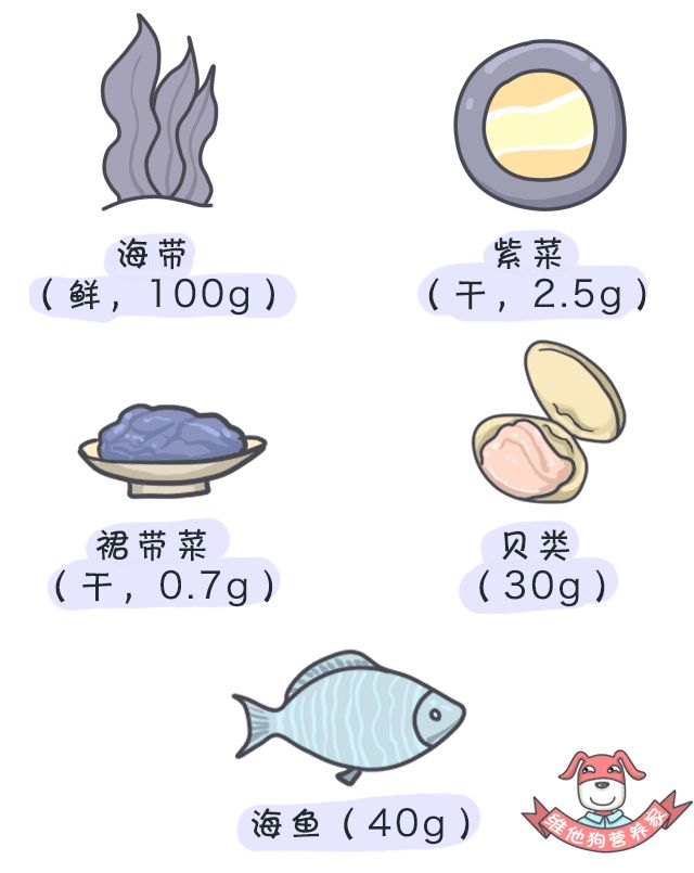 狗狗懷孕補充營養吃什么_狗狗懷孕吃什么有營養_狗狗懷孕吃些什么營養品