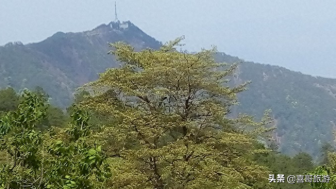 攀枝花旅游攻略自駕游_春節攀枝花自駕游攻略_攀枝花自駕一日游哪里好玩