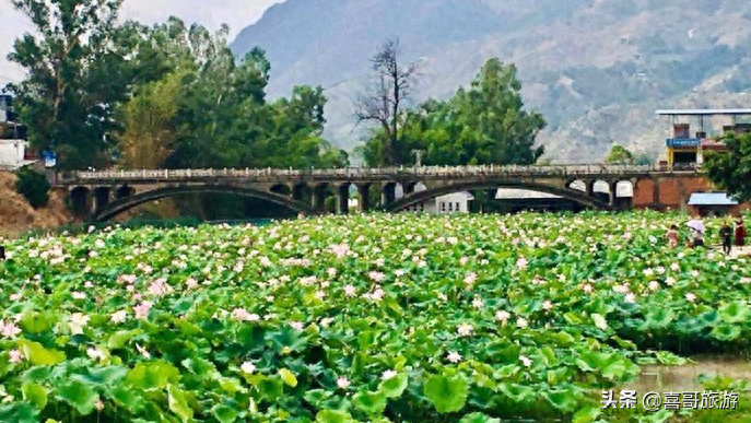 攀枝花旅游攻略自駕游_攀枝花自駕一日游哪里好玩_春節攀枝花自駕游攻略