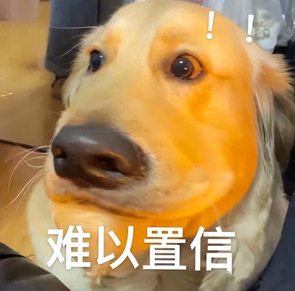 脾氣好的狗有什么特征_十種脾氣最好的狗_脾氣最好的7種狗狗排名