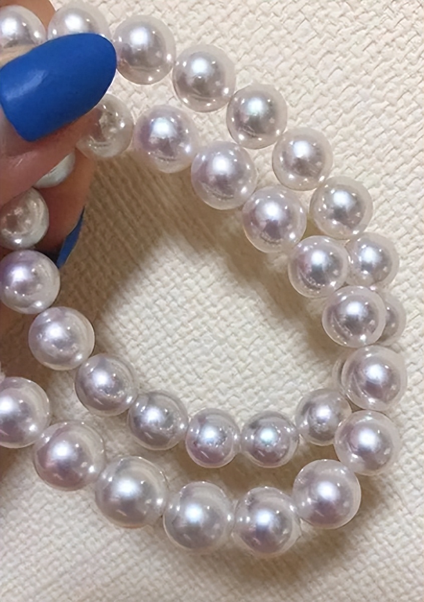 多肉彩虹和紫珍珠區別_多肉彩虹糖和紫珍珠區別_彩虹珍珠多肉