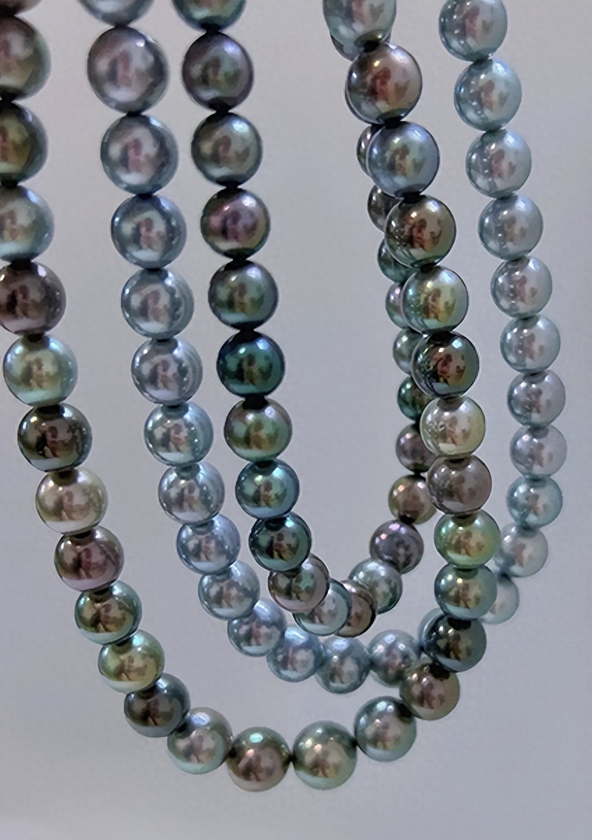 彩虹珍珠多肉_多肉彩虹和紫珍珠區別_多肉彩虹糖和紫珍珠區別