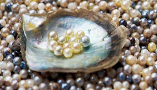 珍珠有幾種顏色？哪些品種？