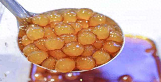 彩虹珍珠多肉_珍珠彩虹多肉怎么養_多肉彩虹和紫珍珠區別