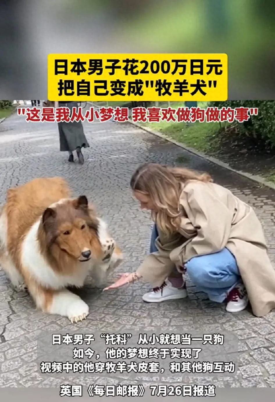 網(wǎng)上買(mǎi)狗可靠嗎_網(wǎng)上買(mǎi)狗可靠嗎_網(wǎng)上買(mǎi)狗可靠嗎