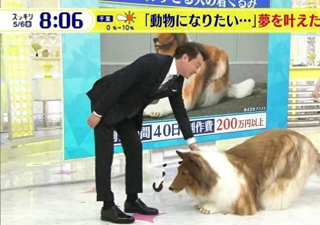 網(wǎng)上買(mǎi)狗可靠嗎_網(wǎng)上買(mǎi)狗可靠嗎_網(wǎng)上買(mǎi)狗可靠嗎