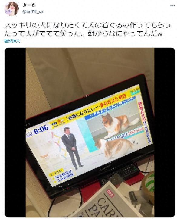 網(wǎng)上買(mǎi)狗可靠嗎_網(wǎng)上買(mǎi)狗可靠嗎_網(wǎng)上買(mǎi)狗可靠嗎