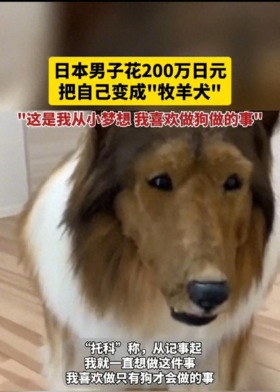 網(wǎng)上買(mǎi)狗可靠嗎_網(wǎng)上買(mǎi)狗可靠嗎_網(wǎng)上買(mǎi)狗可靠嗎