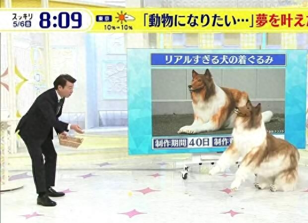 網(wǎng)上買(mǎi)狗可靠嗎_網(wǎng)上買(mǎi)狗可靠嗎_網(wǎng)上買(mǎi)狗可靠嗎