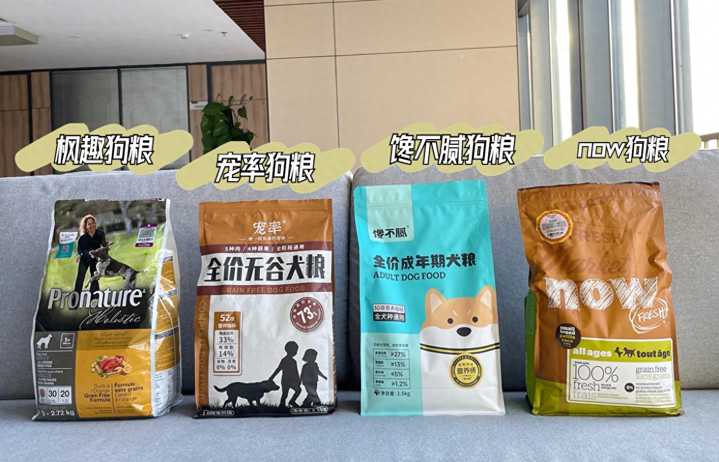 泰迪dog_teddy泰迪幣_泰迪狗一只多少錢