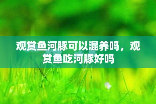 觀賞魚河豚可以混養嗎，觀賞魚吃河豚好嗎