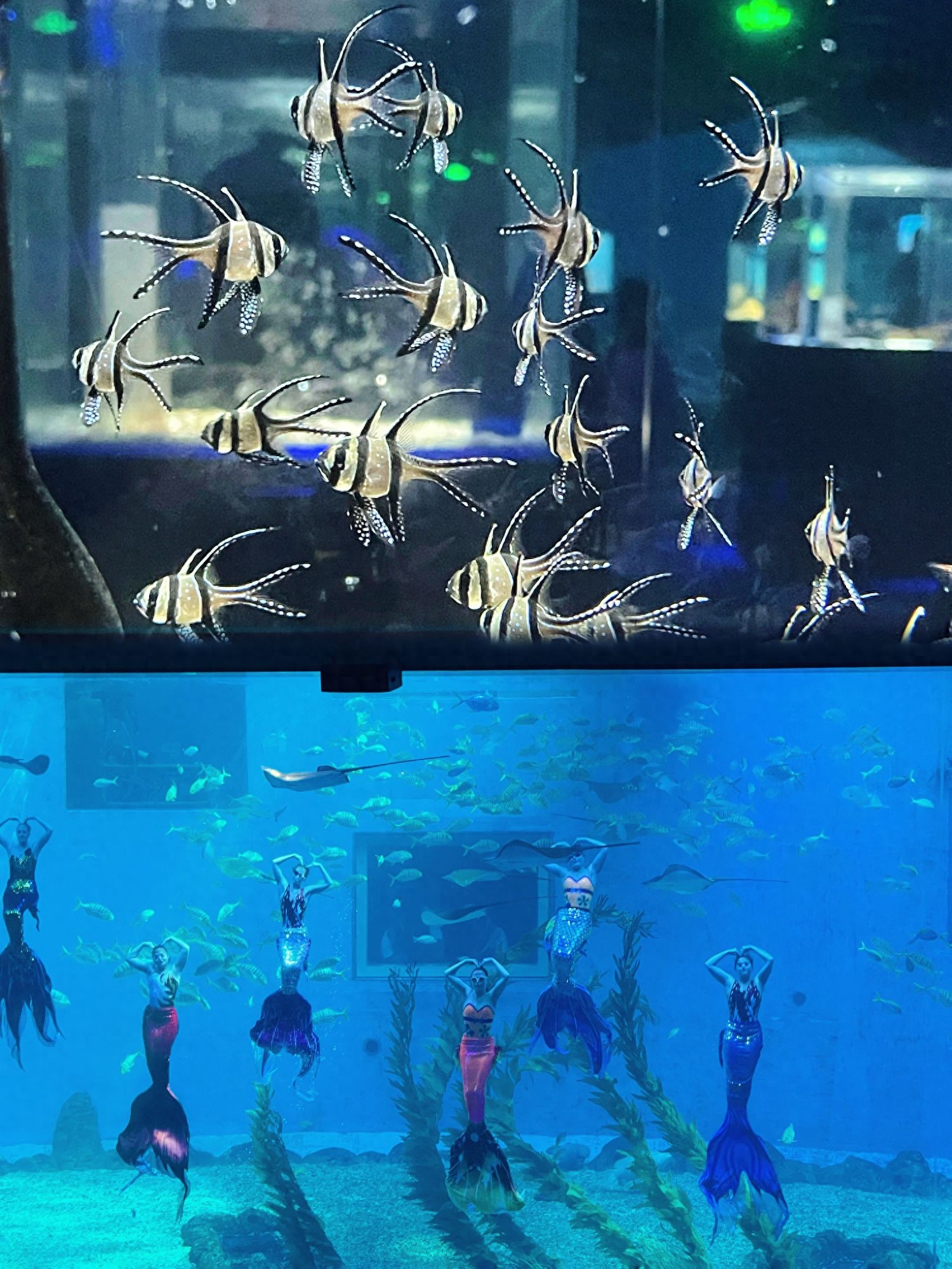 日照三日旅游攻略_日照旅游攻略必去景點三天_日照三日游旅游攻略