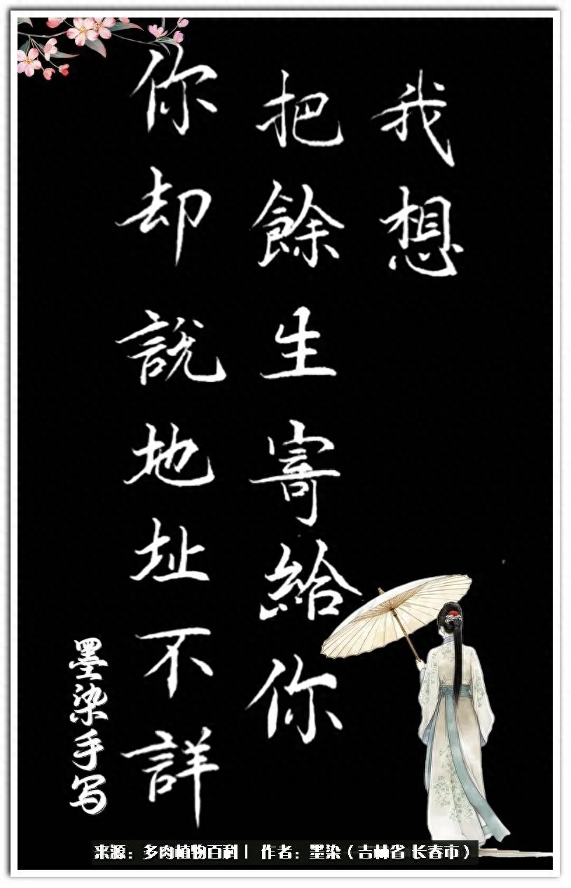 淡雪多肉怎么養(yǎng)_多肉植物淡雪好養(yǎng)嗎_多肉淡雪徒長怎么辦