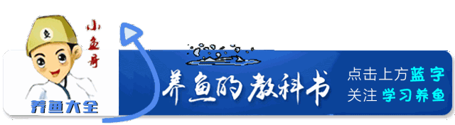 盤點世界上最貴的食用魚和觀賞魚，300萬一條的魚你吃過沒？