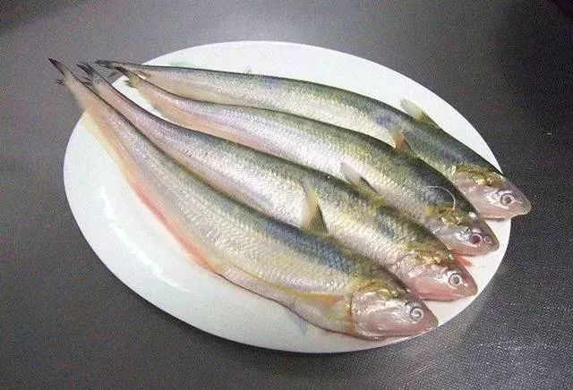 觀賞品種魚價格表_觀賞品種魚價格排名_各種觀賞魚的價格與品種