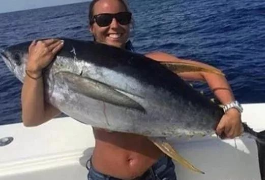 觀賞品種魚價格排名_觀賞品種魚價格表_各種觀賞魚的價格與品種