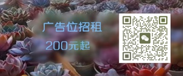 多肉花怎么種植_種植多肉花盆下面的孔_種植多肉花盆里墊什么嗎