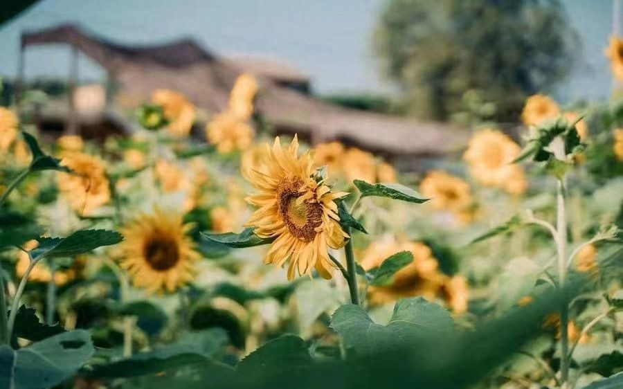 北京親子游攻略_北京親子游攻略_北京親子游攻略