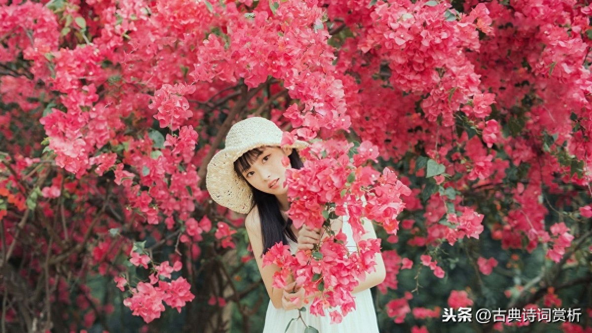 情人節情詩大全_情人的情詩_情人詩一首