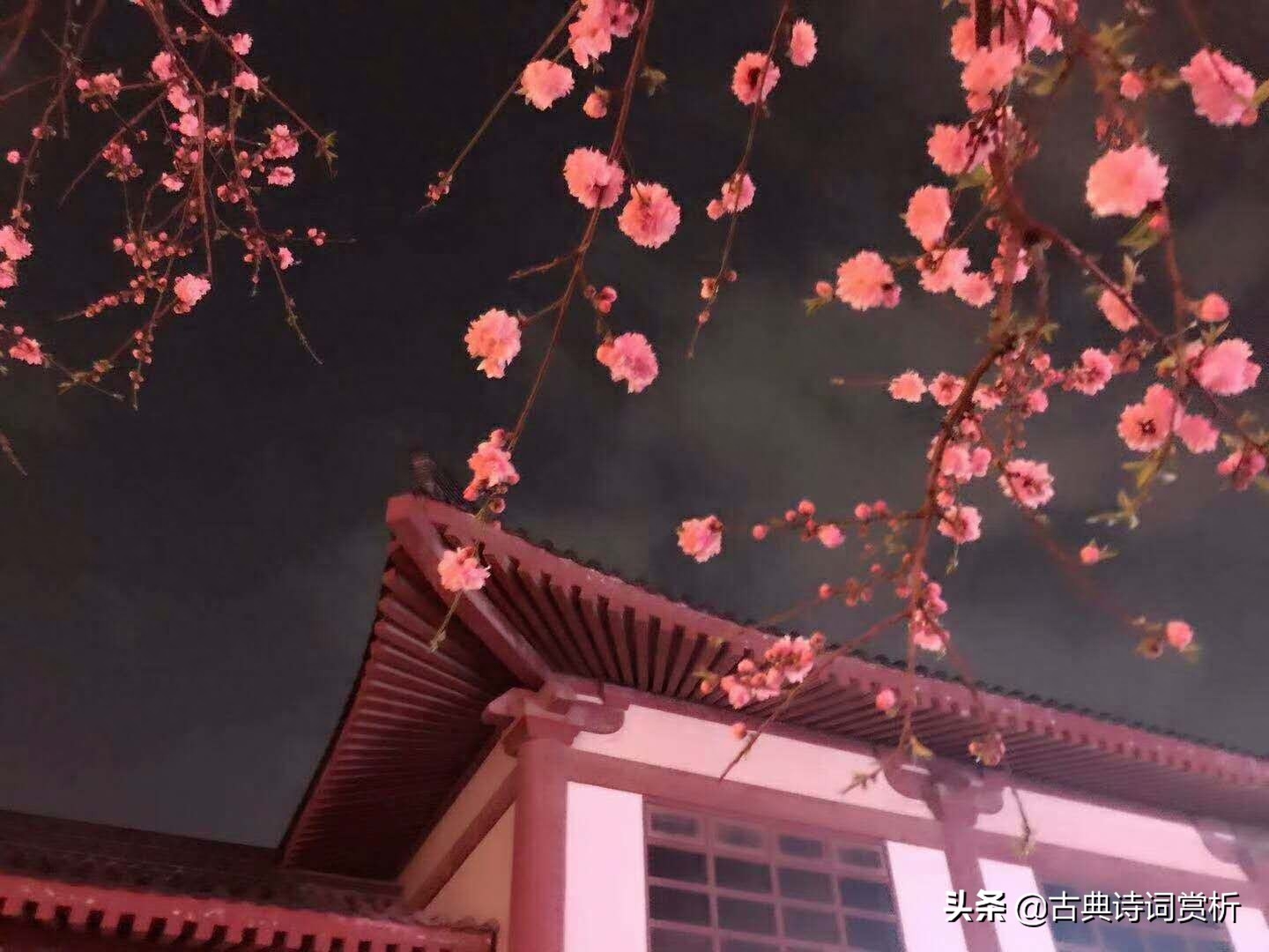 情人節情詩大全_情人的情詩_情人詩一首