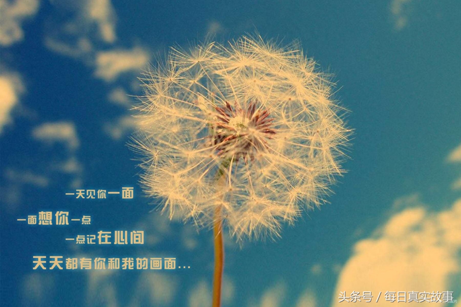 情人節(jié)情詩大全_情人節(jié)情詩大全_情人節(jié)情詩大全