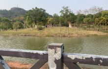 玉林旅游攻略_玉林市區旅游攻略_玉林五彩田園旅游攻略