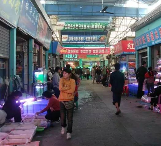 廣州批發(fā)觀賞魚(yú)的市場(chǎng)_廣州賣(mài)觀賞魚(yú)的地方_廣州觀賞魚(yú)批發(fā)市場(chǎng)在哪里