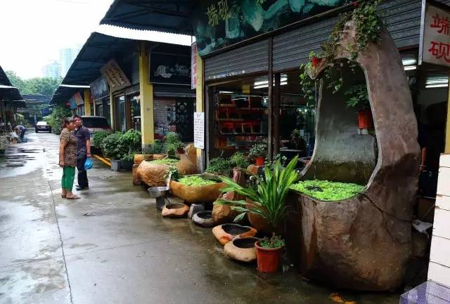 廣州批發(fā)觀賞魚(yú)的市場(chǎng)_廣州賣(mài)觀賞魚(yú)的地方_廣州觀賞魚(yú)批發(fā)市場(chǎng)在哪里