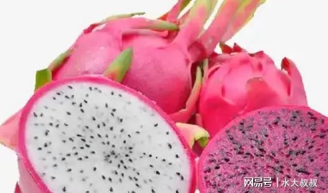 火龍果不能隨便吃？醫生提醒：這5類人或要少食用，不妨了解