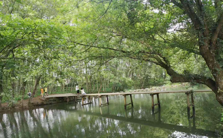 黃山自駕攻略旅游去哪里好玩_黃山自駕游最佳路線_自駕去黃山旅游攻略