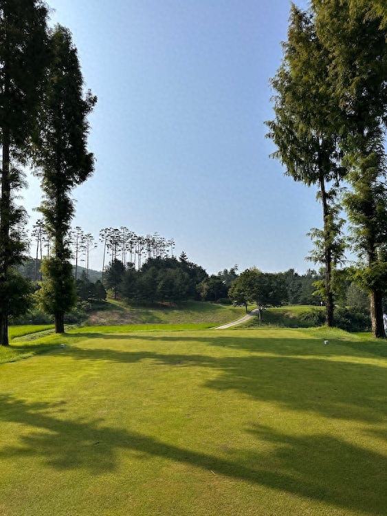剛開的抖音小店怎么運營_抖音小店運營技巧及實操_抖音小店運營是做什么的