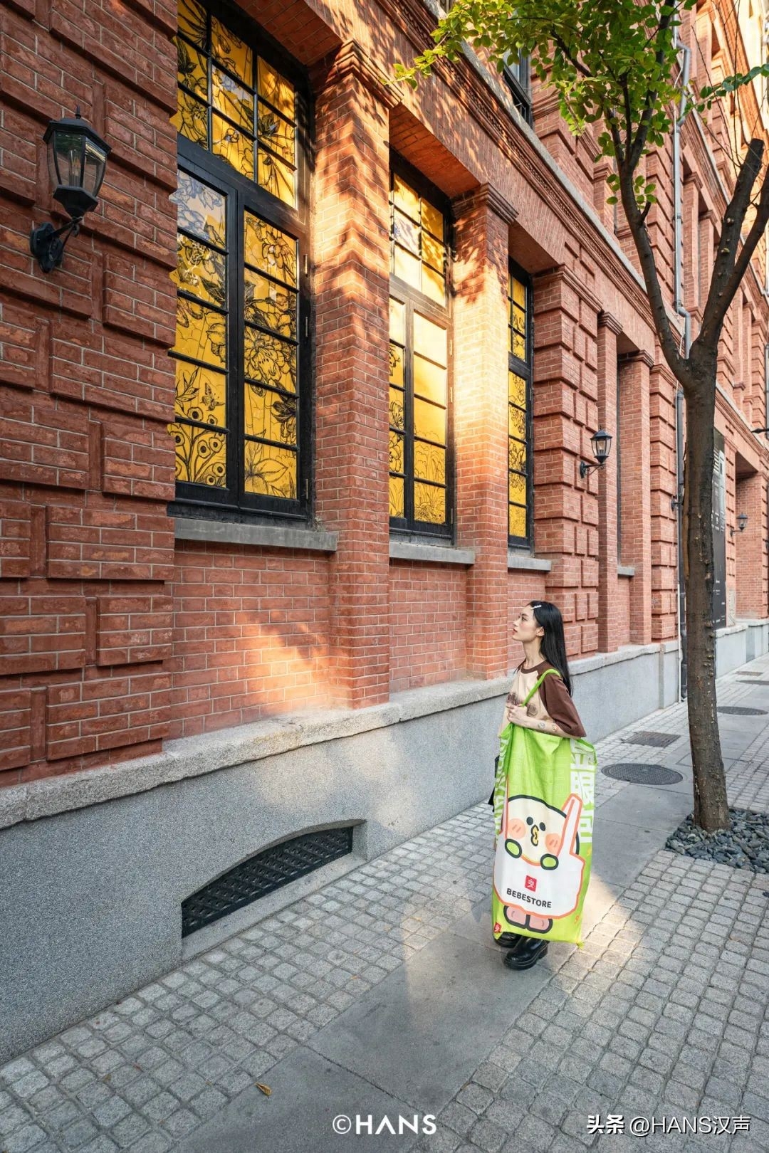 狗狗可以吃梅片嗎_狗吃可不可以吃西梅_狗狗可以吃西梅嗎