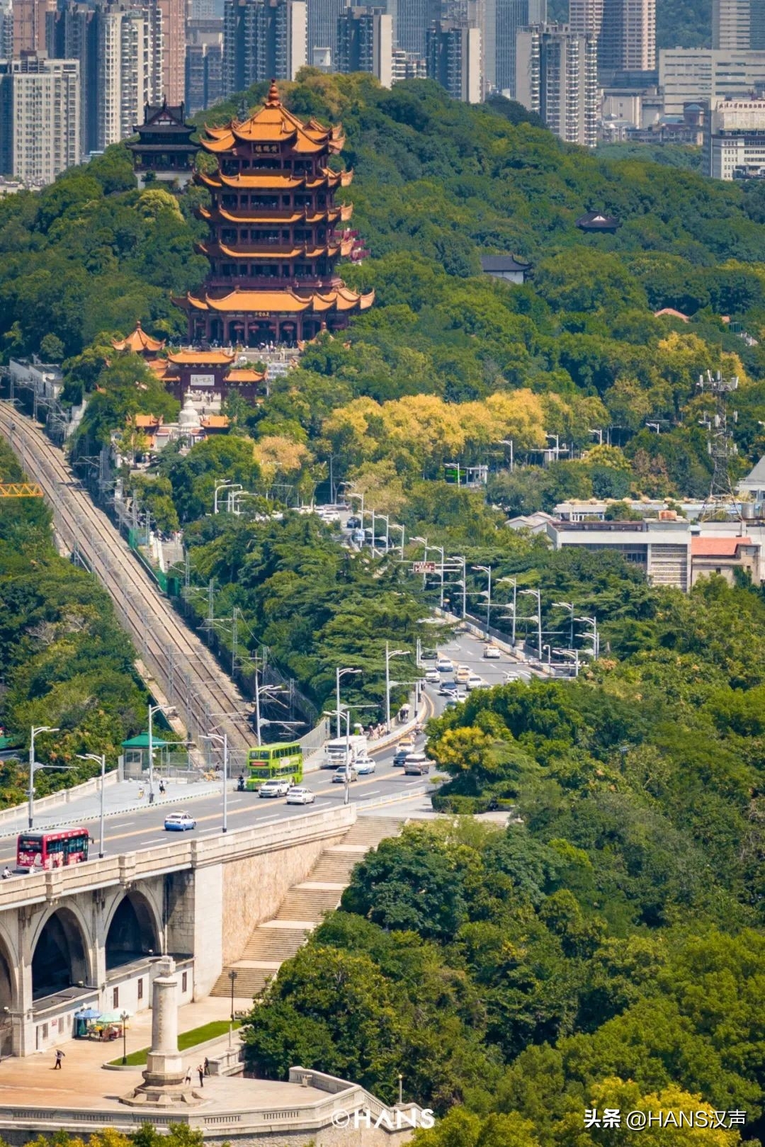 狗狗可以吃西梅嗎_狗狗可以吃梅片嗎_狗吃可不可以吃西梅