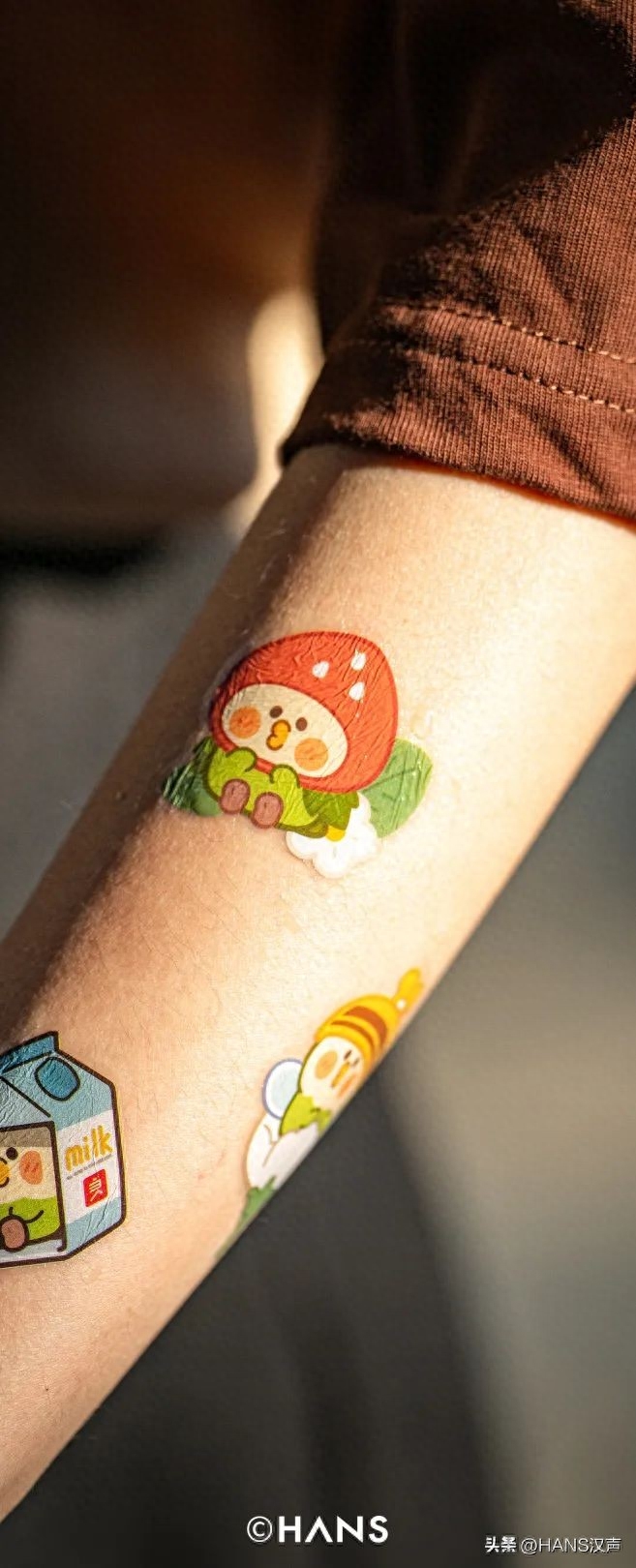 狗吃可不可以吃西梅_狗狗可以吃西梅嗎_狗狗可以吃梅片嗎