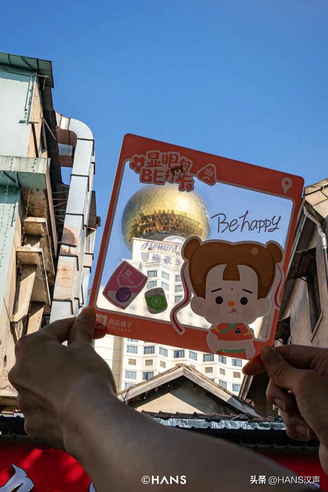 狗狗可以吃梅片嗎_狗狗可以吃西梅嗎_狗吃可不可以吃西梅