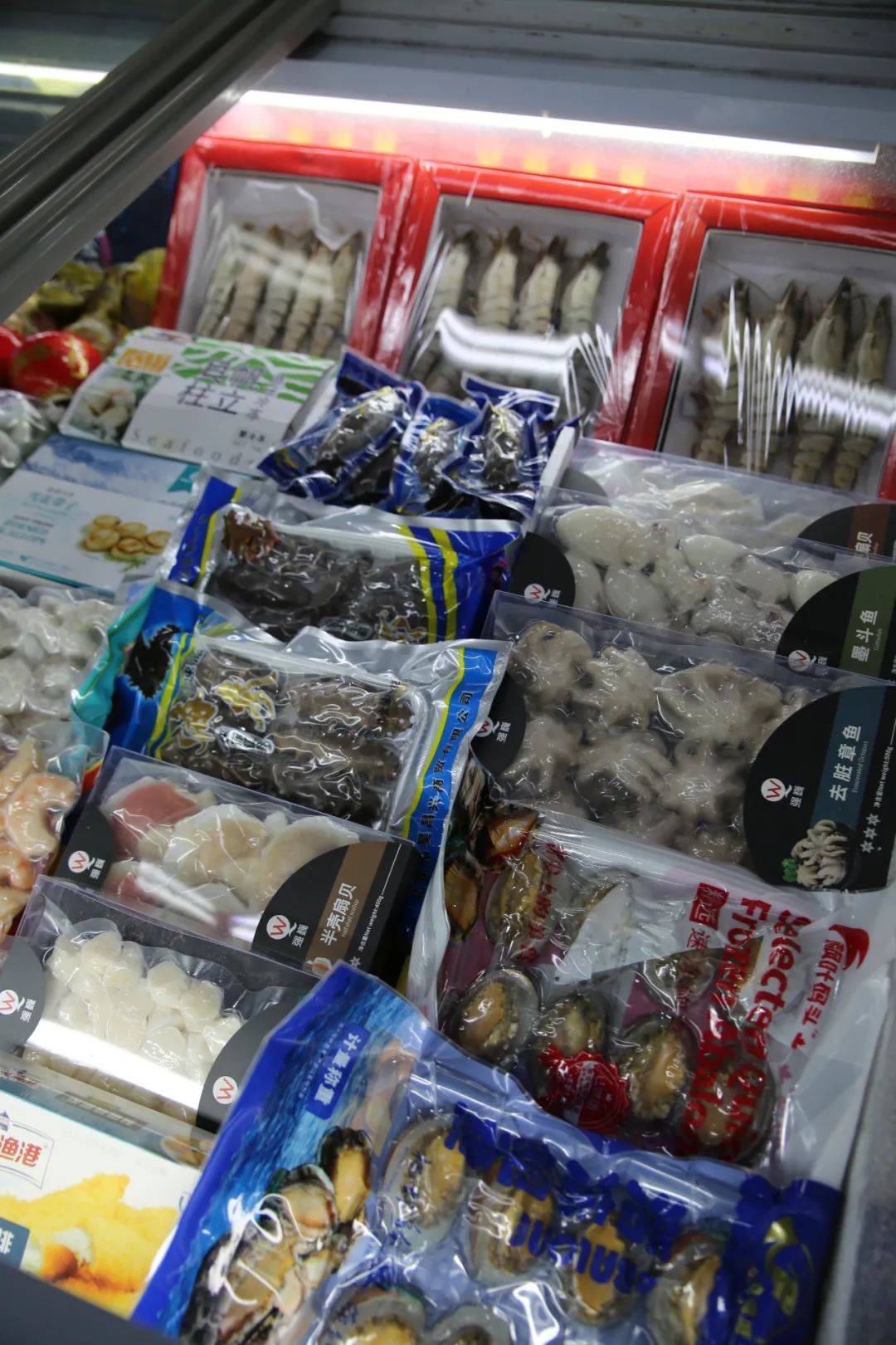 杭州觀賞魚批發(fā)市場_杭州賣魚的市場_杭州市觀賞魚批發(fā)市場