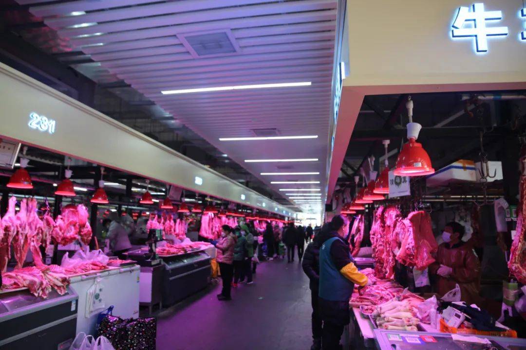 杭州市觀賞魚批發(fā)市場_杭州賣魚的市場_杭州觀賞魚批發(fā)市場