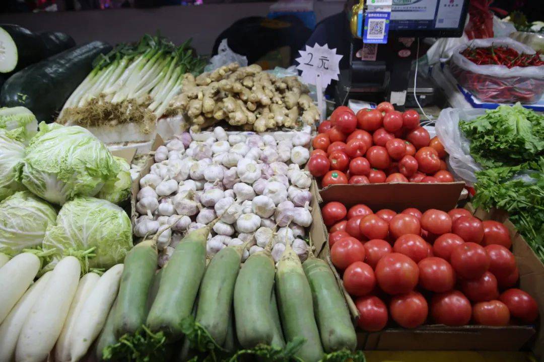 杭州市觀賞魚批發(fā)市場_杭州觀賞魚批發(fā)市場_杭州賣魚的市場