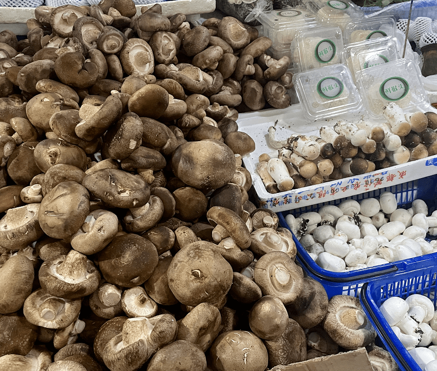 杭州觀賞魚批發(fā)市場_杭州市觀賞魚批發(fā)市場_杭州賣魚的市場