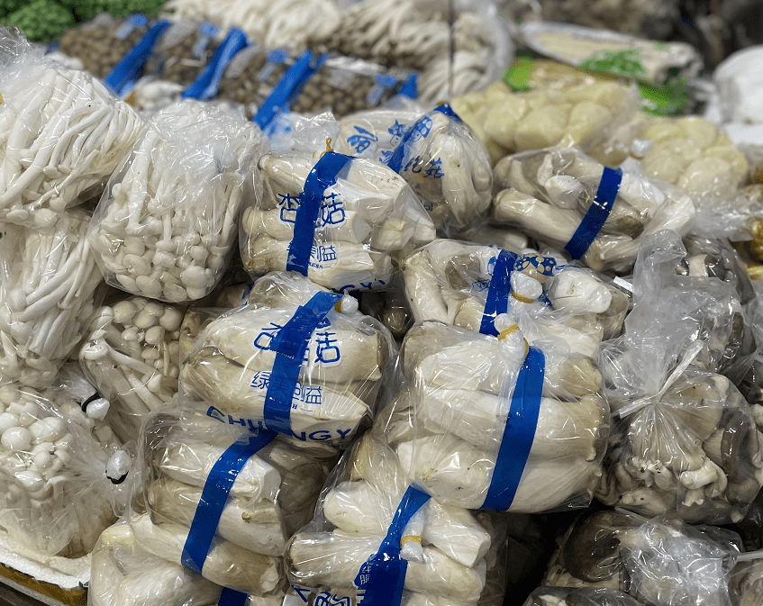 杭州賣魚的市場_杭州市觀賞魚批發(fā)市場_杭州觀賞魚批發(fā)市場