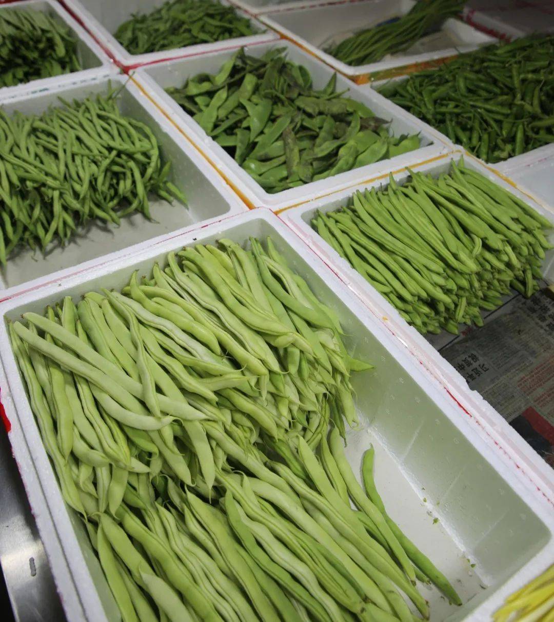 杭州賣魚的市場_杭州觀賞魚批發(fā)市場_杭州市觀賞魚批發(fā)市場