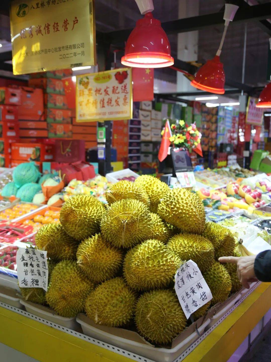 杭州市觀賞魚批發(fā)市場_杭州賣魚的市場_杭州觀賞魚批發(fā)市場