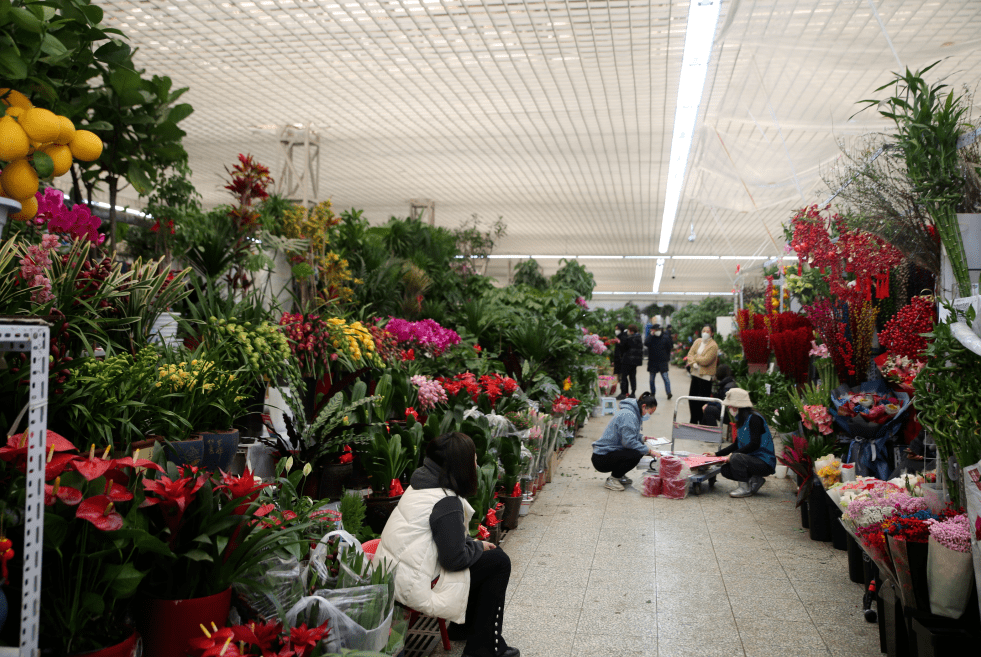 杭州觀賞魚批發(fā)市場_杭州市觀賞魚批發(fā)市場_杭州賣魚的市場